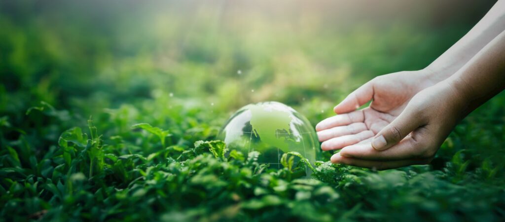 The glass globe is on a green background. Man saving the green planet, saving the earth